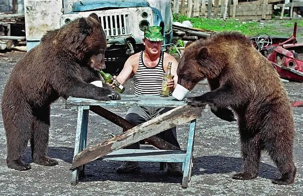 RUSSIA-BEARS-DRINK.webp