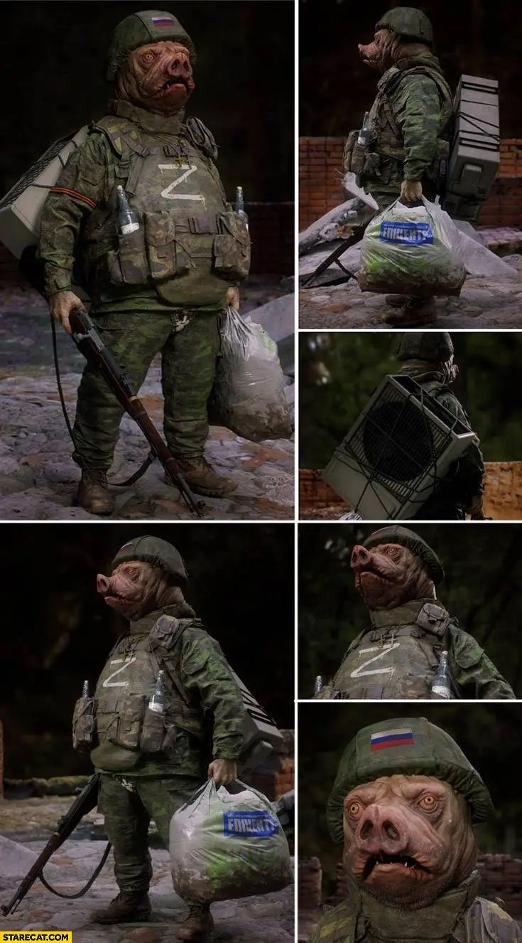 russian-soldier-as-a-pig-stealing-washing-machine.webp