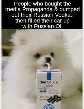 russian vodka.webp