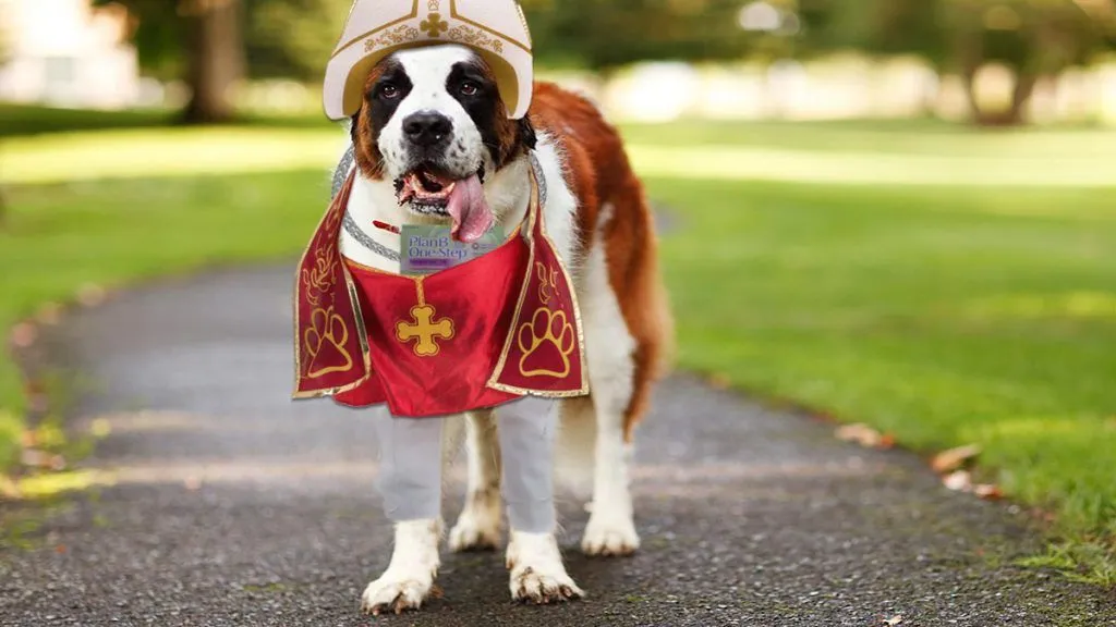 Saint-Bernard-Condemns-Morning-After-1024x576.webp