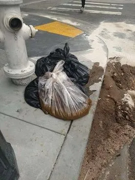 san francisco shit.webp
