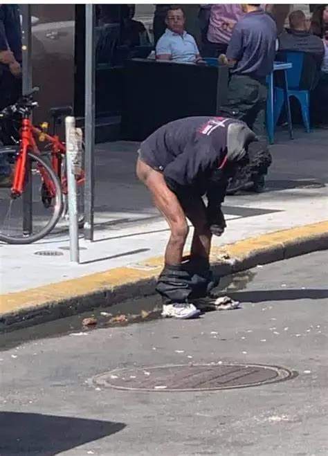 san fransico poopers.webp