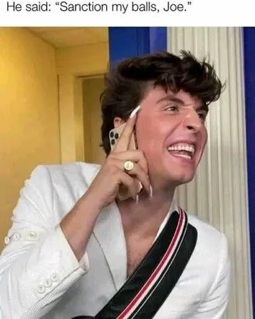 sanction my balls.webp