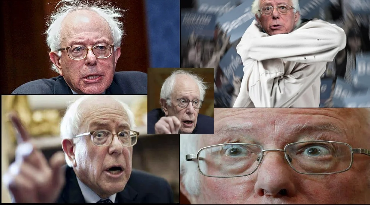 sandersiscrazy2ddh.webp