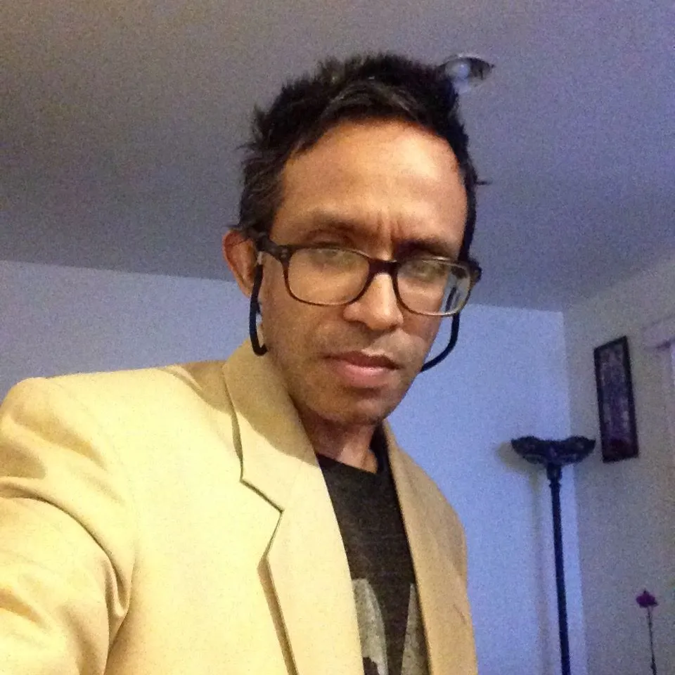 sari33.webp