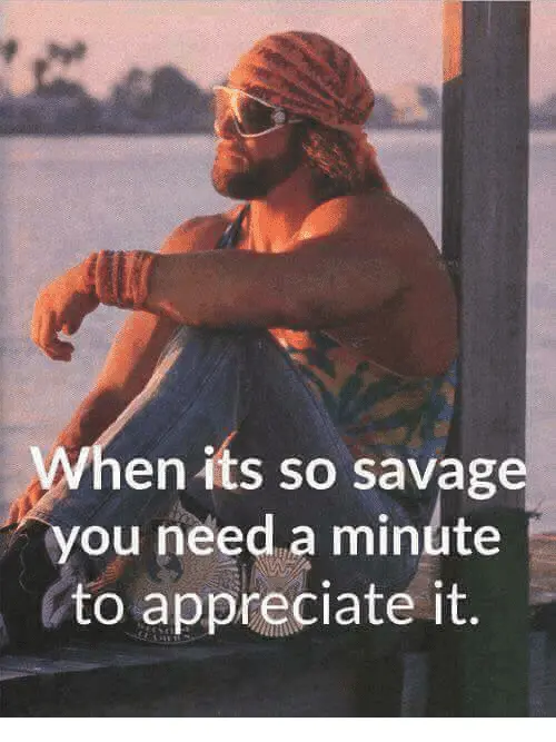 savage.png