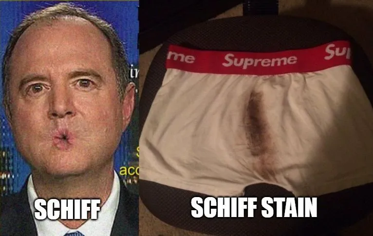 schiff stain.webp