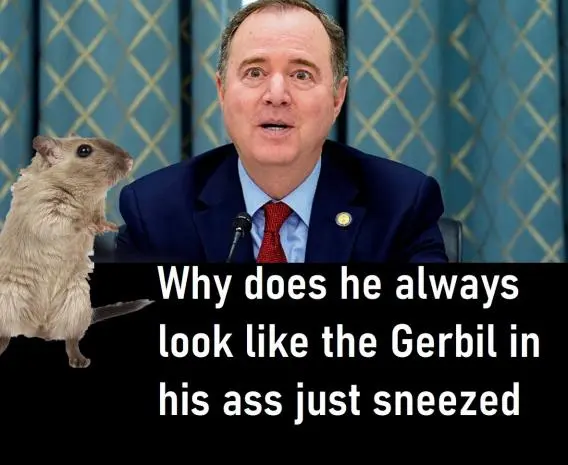 schitt gerbil look.webp