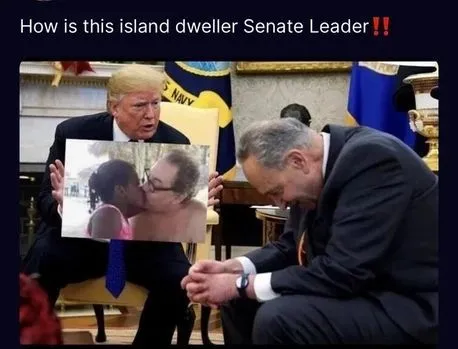 schumer pedo.webp