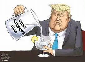 schumer tearshdhd.webp