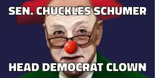 schumer.webp
