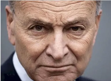 Schumer.PNG