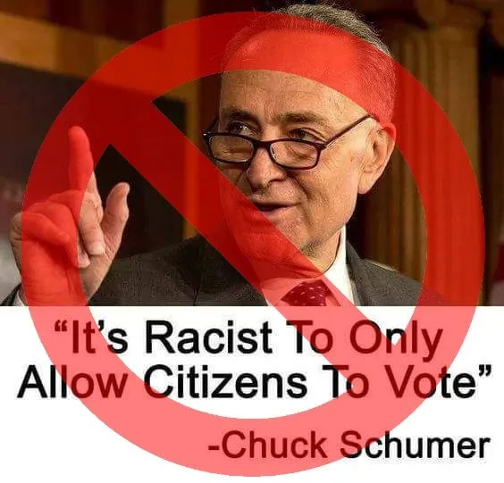 schumerantivotingrightsyuygttfddfd.webp