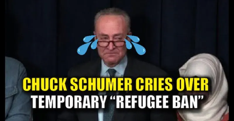 SCHUMERCRIESLMAO.webp