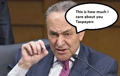 SchumerdoesntcareTaxpayers.webp