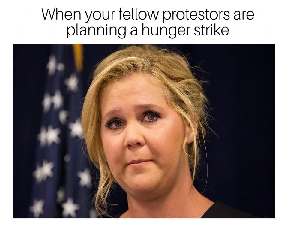 SchumerHungerStrike.webp