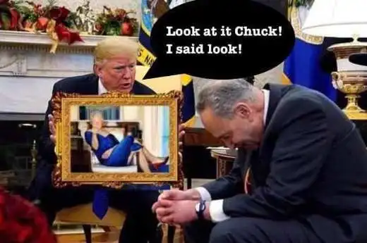 schumerliesjaldkjalsdjkad.webp