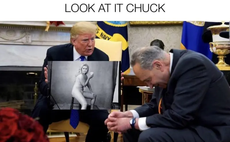 schumerposjakajdhakjd.webp