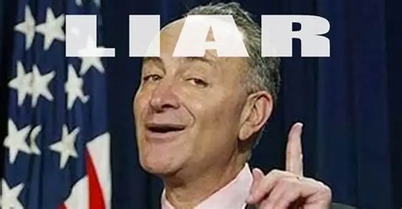schumerposliar.webp
