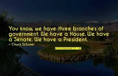schumerthreebrancheshousesenatepresident.jpg
