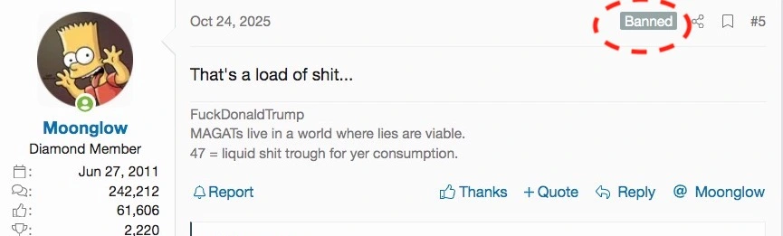 Screen Shot 143.webp