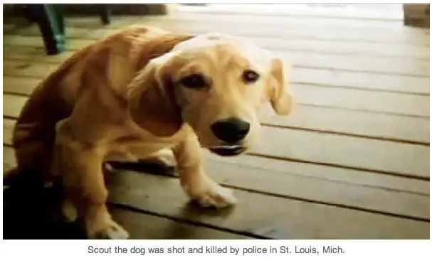 Screen shot 2012-09-11 at 7.37.49 PM.webp