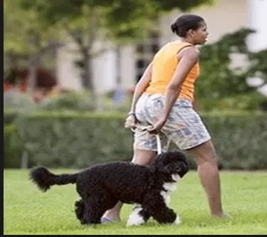 Screen Shot 2014-10-06 at 1.32.57 PM.webp