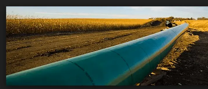 Screen Shot 2014-11-15 at 11.19.49 PM.webp