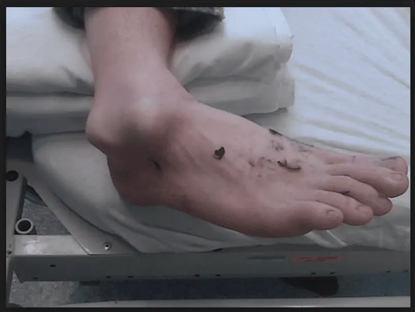 Screen Shot 2015-02-01 at 9.35.17 PM.webp