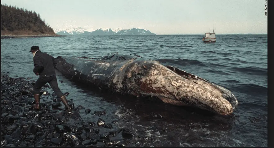 Screen Shot 2015-05-16 at 8.27.22 AM.webp