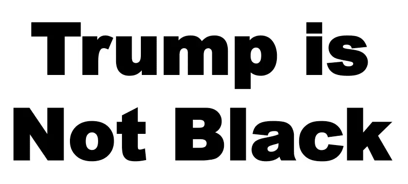 Screen Shot 2017-01-09 at 4.29.57 PM.webp