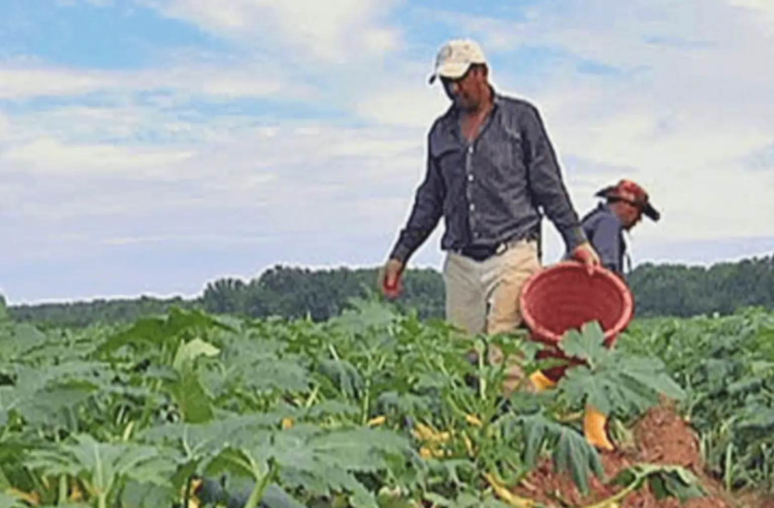 Screen Shot 2017-03-07 at 10.17.45 PM.webp