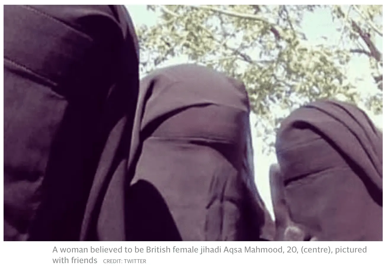 Screen Shot 2017-05-23 at 10.23.12 AM.webp