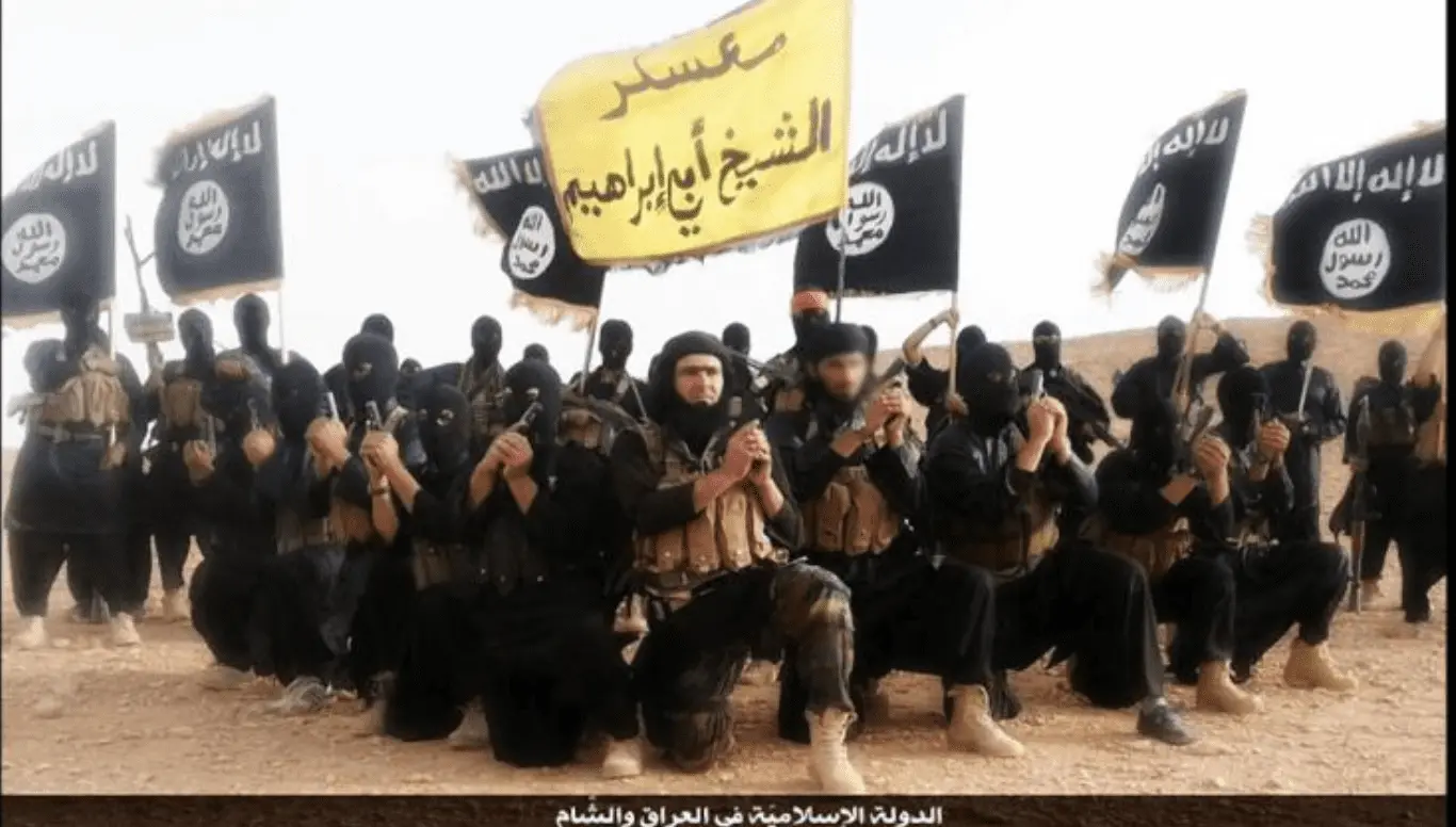 Screen Shot 2017-11-07 at 9.03.29 AM.webp