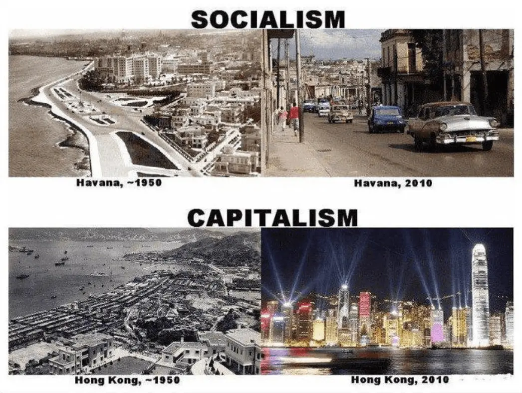 Screen Shot 2017-11-15 at 3.23.29 PM.webp