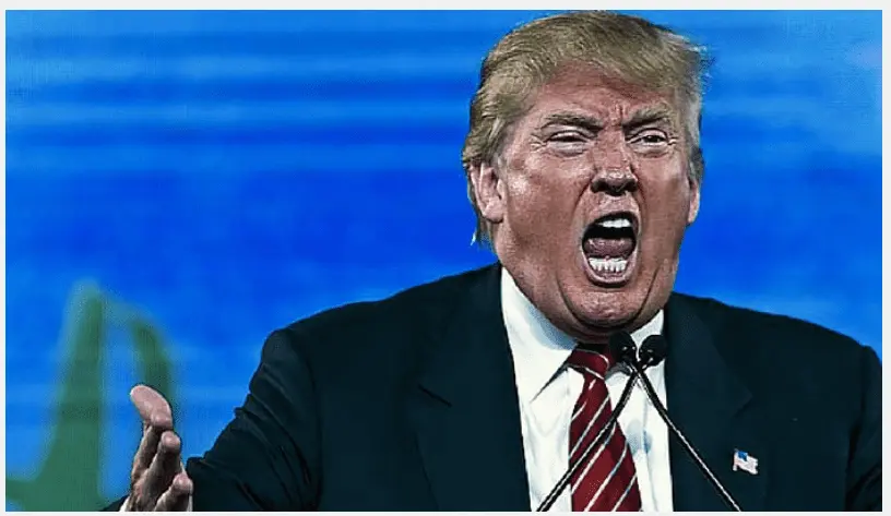 Screen Shot 2018-06-11 at 5.56.22 PM.webp