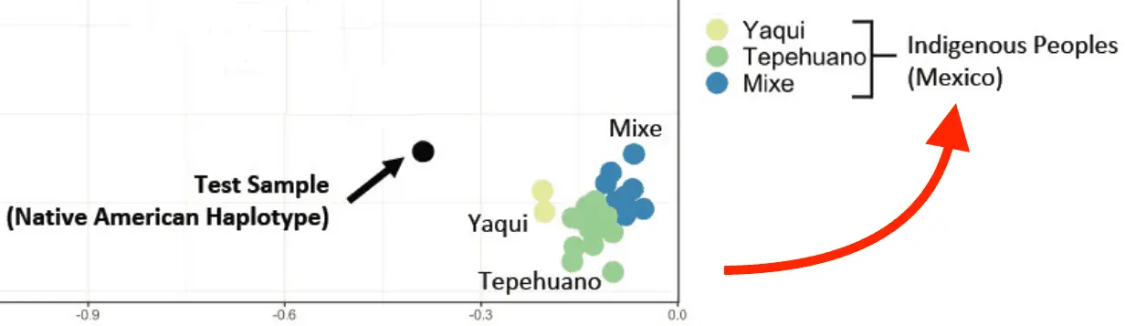 Screen Shot 2018-10-18 at 10.37.02 PM.webp