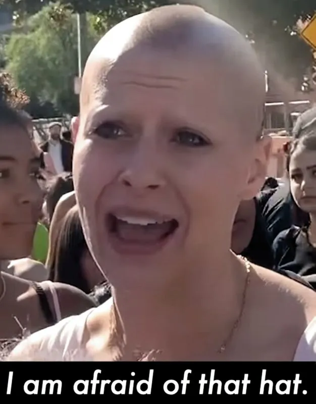 Screen Shot 2019-01-26 at 11.00.26 AM.webp