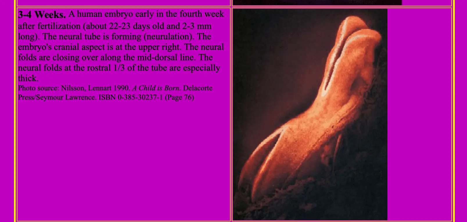 Screen Shot 2019-09-07 at 10.44.14 PM.webp