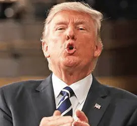 Screen Shot 2019-10-10 at 8.17.07 AM.webp