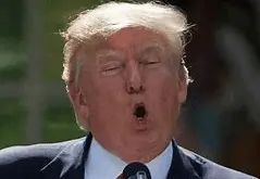 Screen Shot 2019-10-12 at 11.56.19 AM.webp