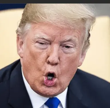 Screen Shot 2019-10-21 at 8.23.24 AM.png