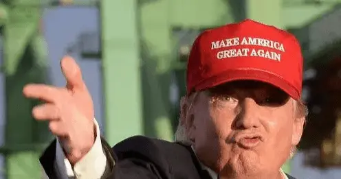 Screen Shot 2019-10-26 at 12.19.11 PM.webp