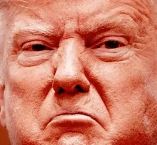 Screen Shot 2019-11-05 at 7.22.00 AM.png