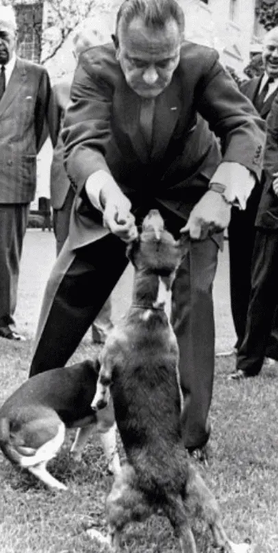 Screen Shot 2019-11-09 at 9.33.15 AM.webp