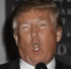 Screen Shot 2019-11-17 at 10.40.21 AM.webp