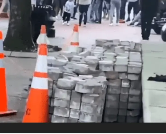 screen-shot-2020-06-05-at-9-26-48-am-png.345978