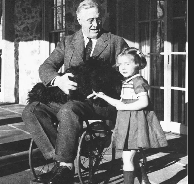 Screen Shot 2020-06-14 at 10.34.00 AM.webp