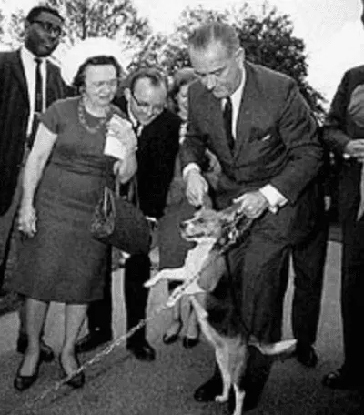 Screen Shot 2020-06-14 at 3.27.14 PM.webp