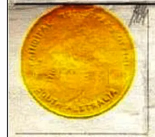 Screen Shot 2020-06-25 at 1.09.31 PM.png